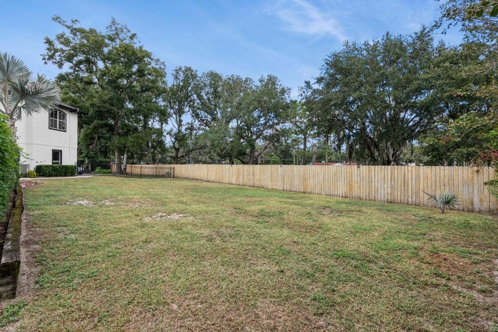 1066 CEASARS CT, Mount Dora, FL 32757 Backyard