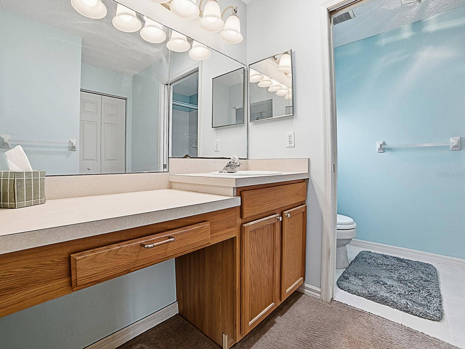 647 TIMBERCREST DRIVE, Leesburg, FL 34748 PRIMARY BATH