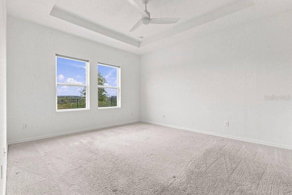 Owners' Suite with tray ceiling