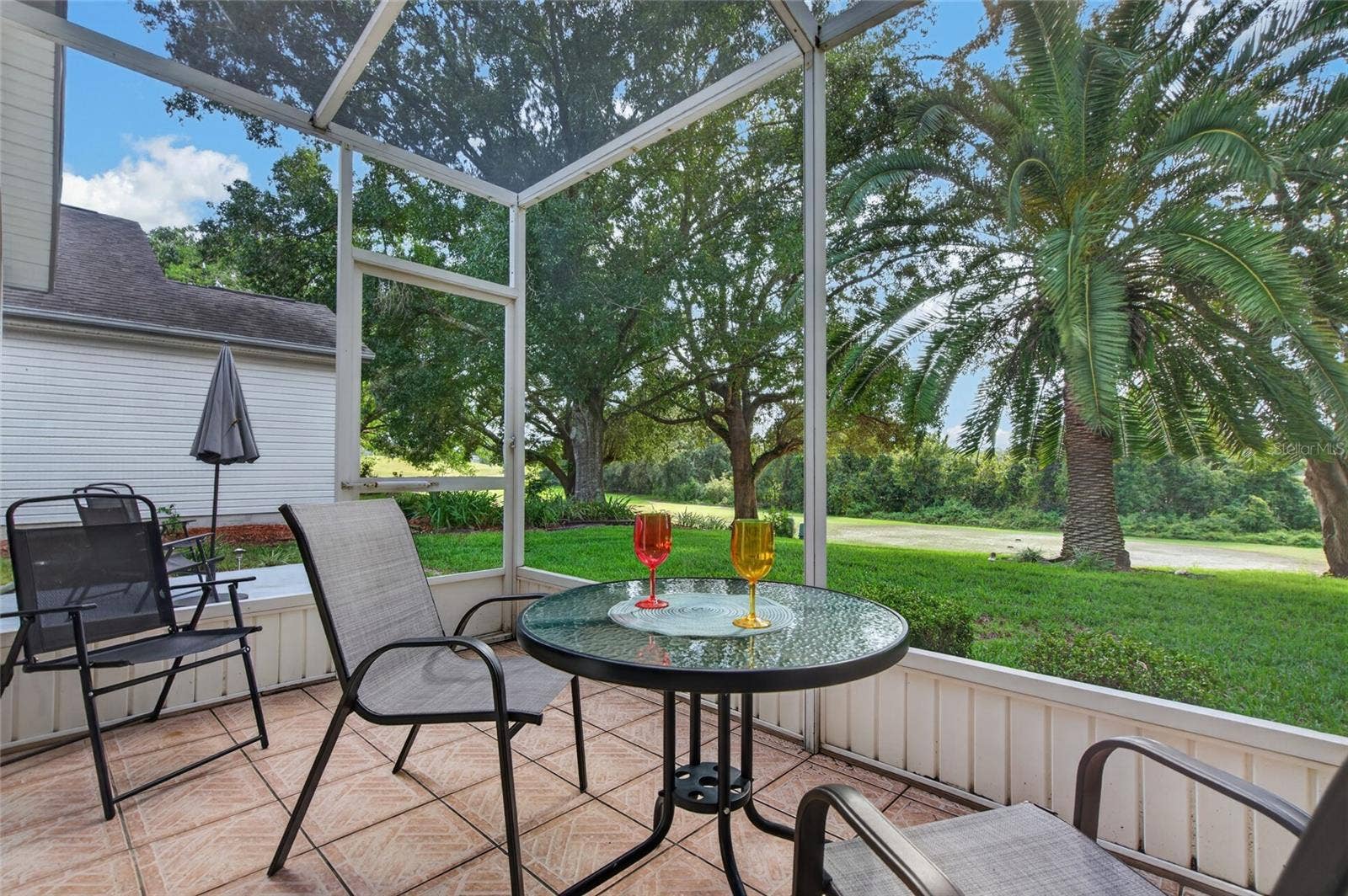 25005 CRANES ROOST CIRCLE, Leesburg, FL 34748 Private backyard with magnificent palm tree