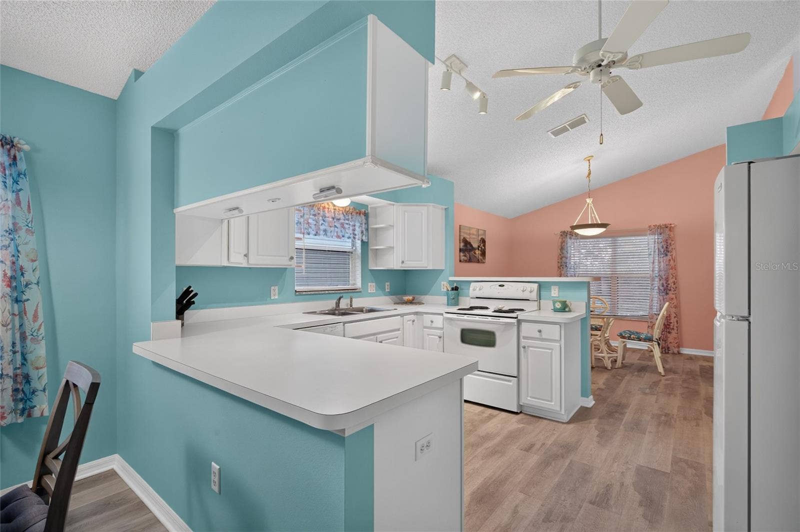 25005 CRANES ROOST CIRCLE, Leesburg, FL 34748 Kitchen
