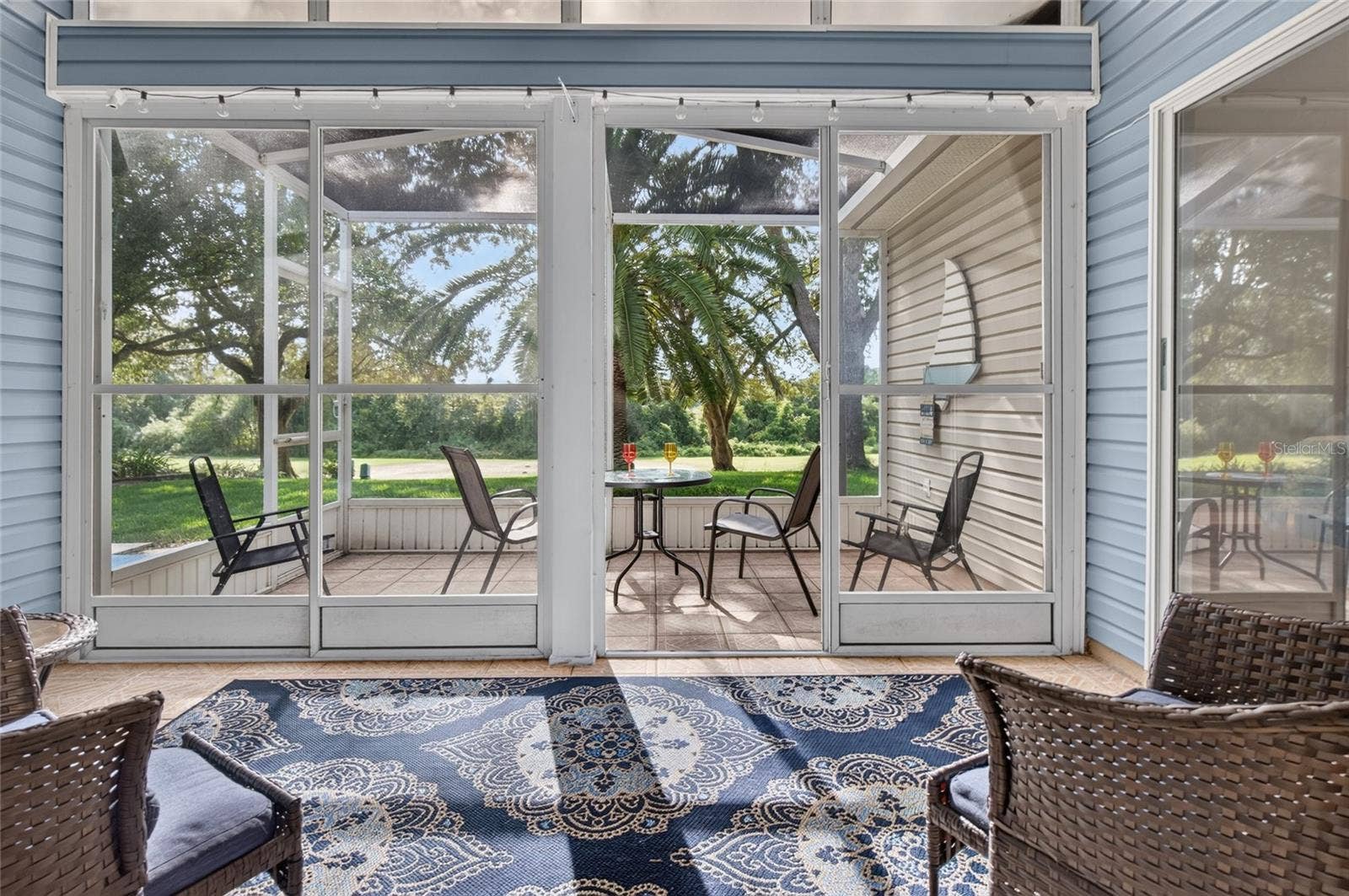 25005 CRANES ROOST CIRCLE, Leesburg, FL 34748 Lanai Do you see that magnificent palm tree?