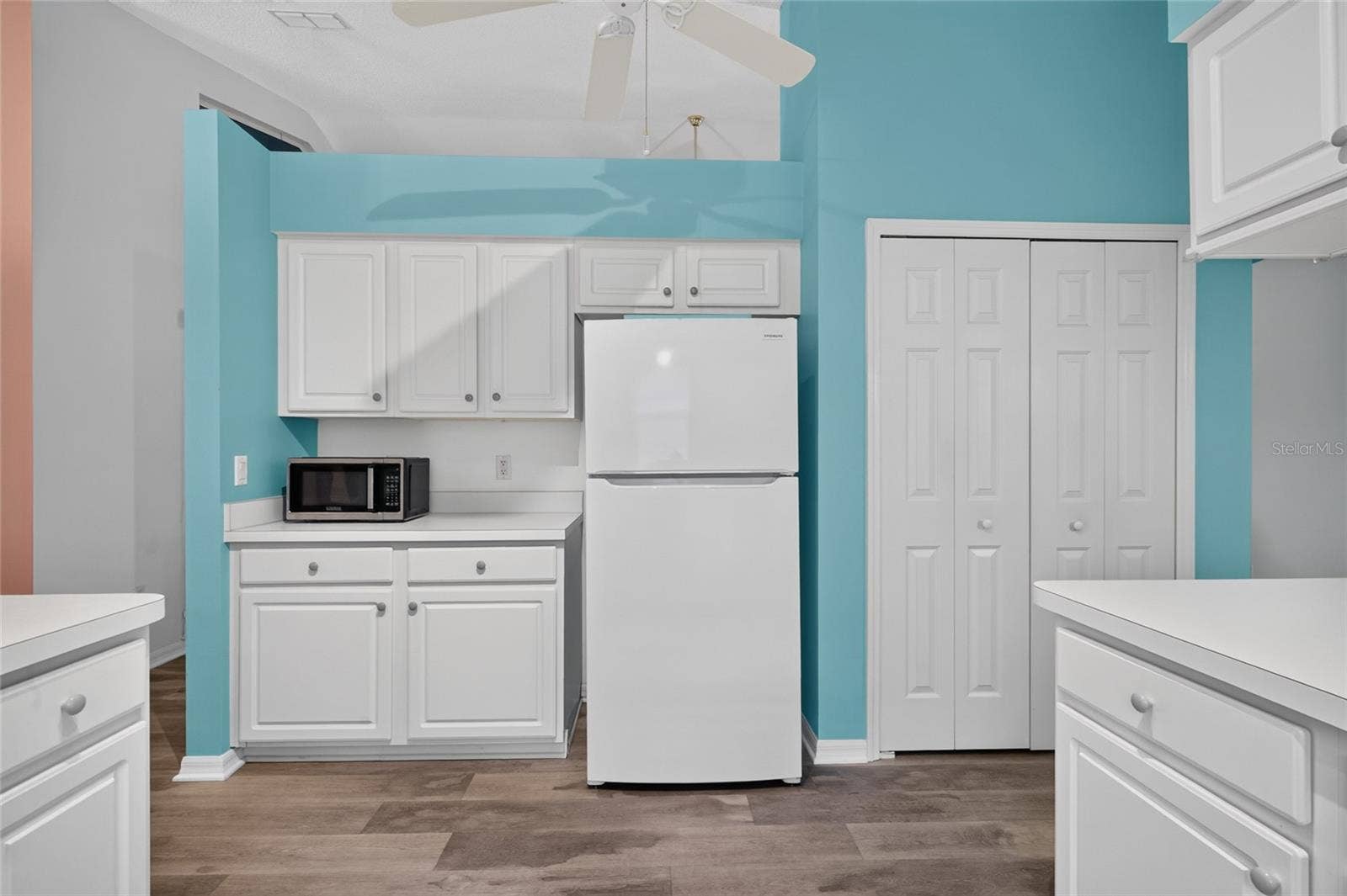 25005 CRANES ROOST CIRCLE, Leesburg, FL 34748 Kitchen