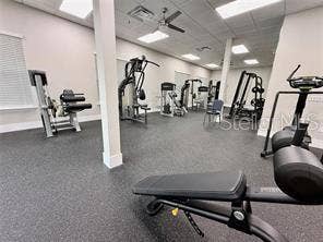 Fitness