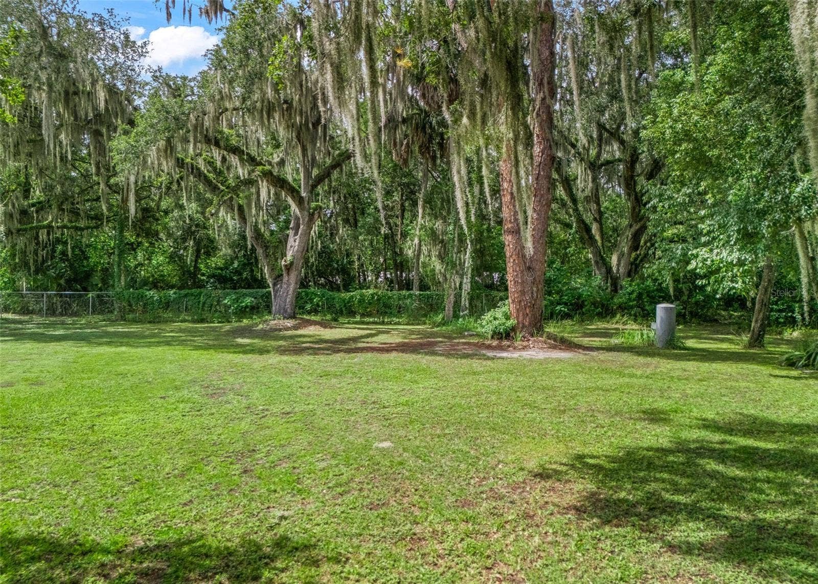 12530 SE 142ND AVENUE, Ocklawaha, FL 32179 12530 SE 142ND AVENUE, Ocklawaha, FL 32179