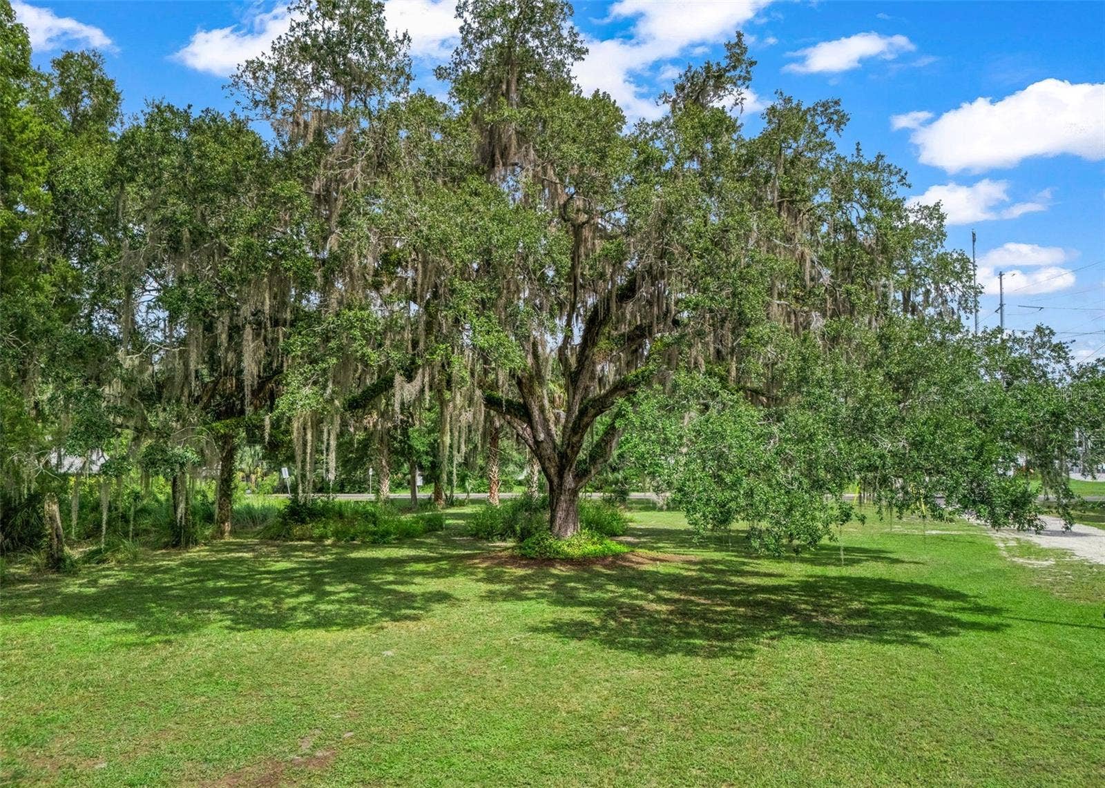 12530 SE 142ND AVENUE, Ocklawaha, FL 32179 12530 SE 142ND AVENUE, Ocklawaha, FL 32179