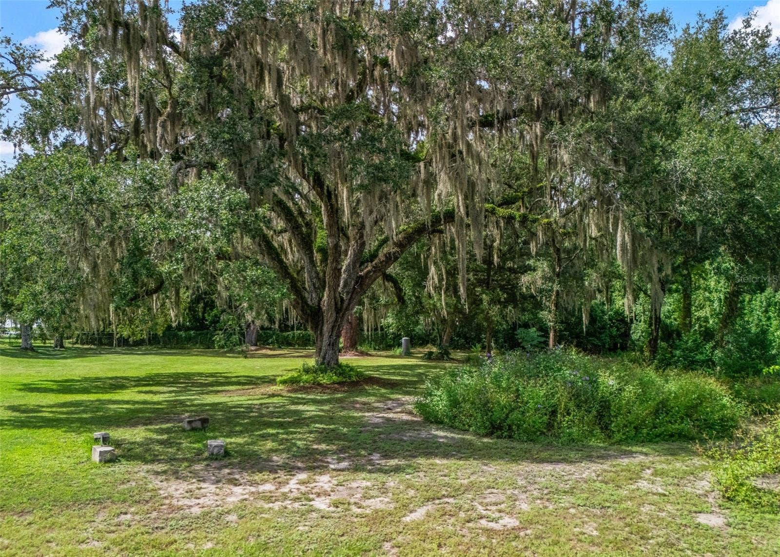 12530 SE 142ND AVENUE, Ocklawaha, FL 32179 12530 SE 142ND AVENUE, Ocklawaha, FL 32179