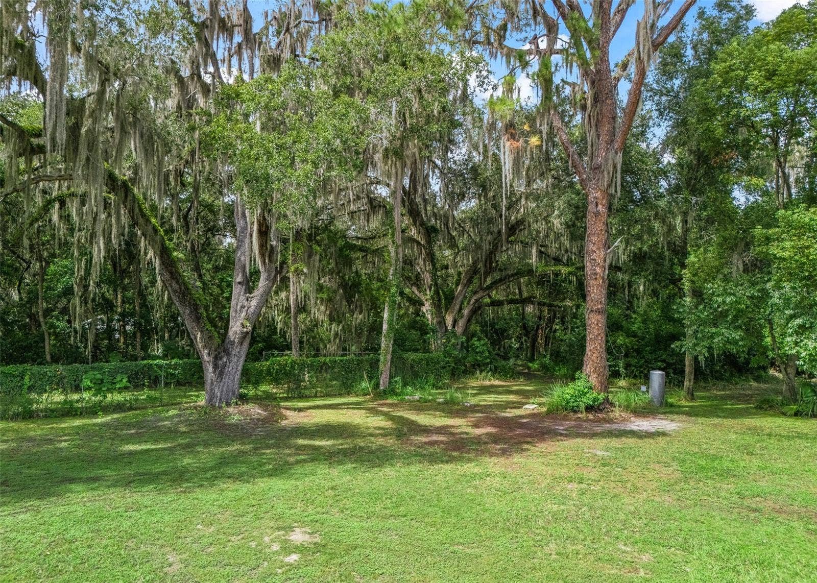 12530 SE 142ND AVENUE, Ocklawaha, FL 32179 12530 SE 142ND AVENUE, Ocklawaha, FL 32179