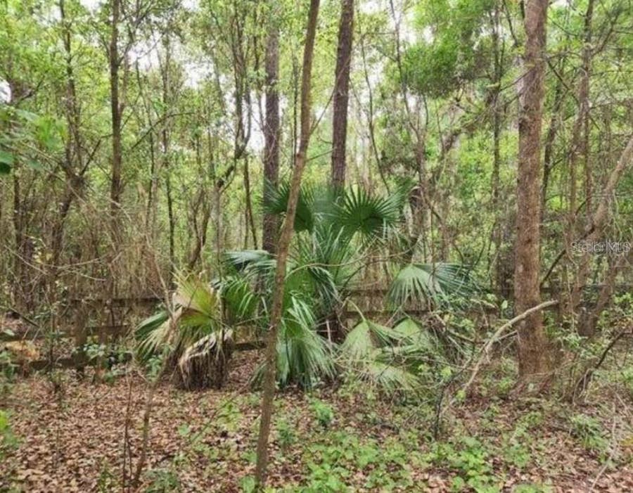 Property photo for 15363 SE 156TH PLACE ROAD, Weirsdale, FL