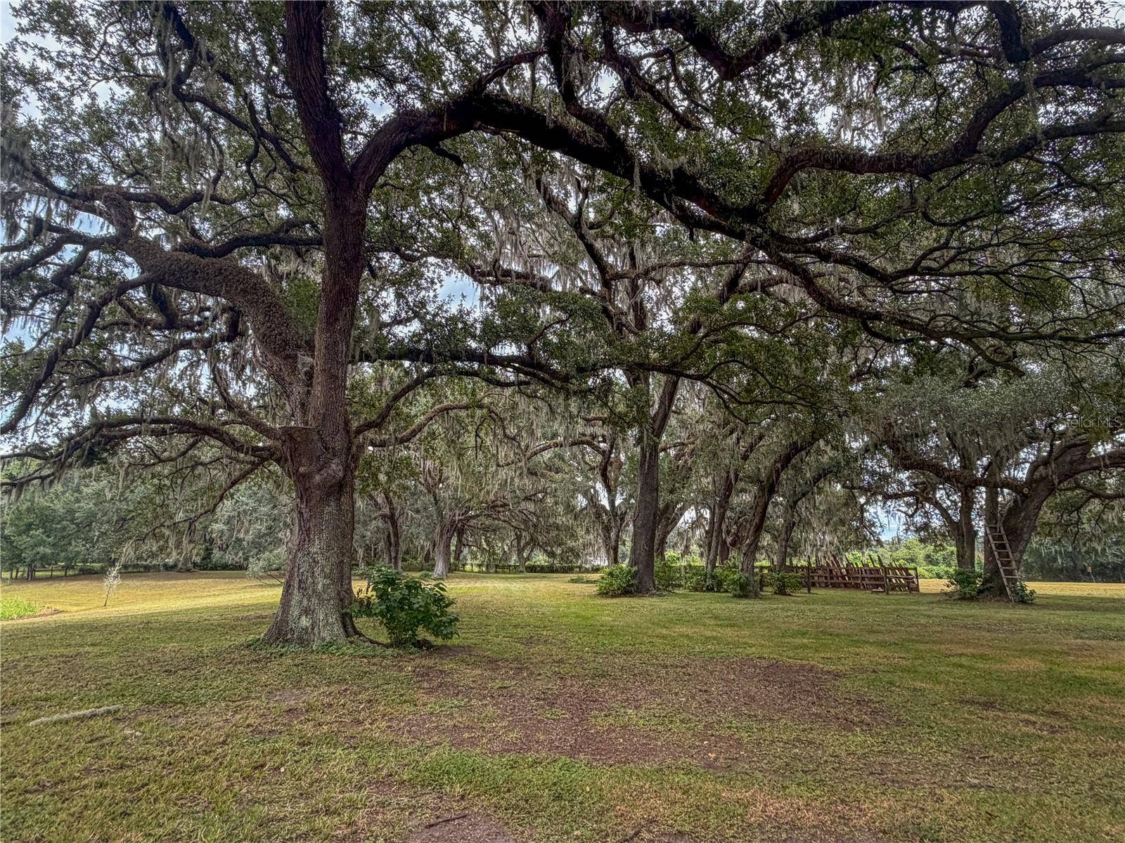 2531 CR 546A, Bushnell, FL 33513