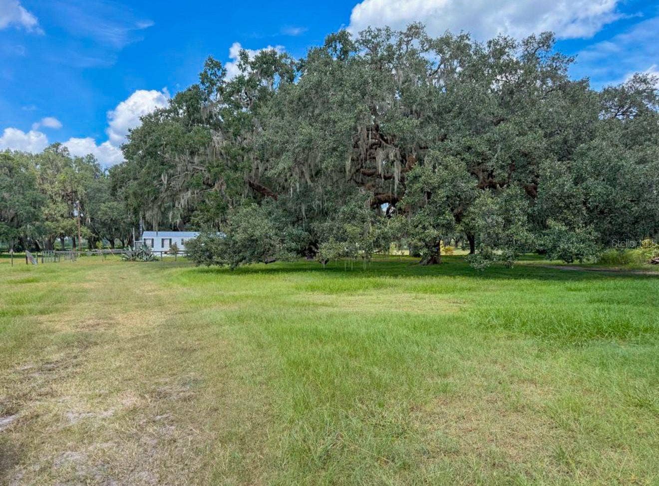 2531 CR 546A, Bushnell, FL 33513