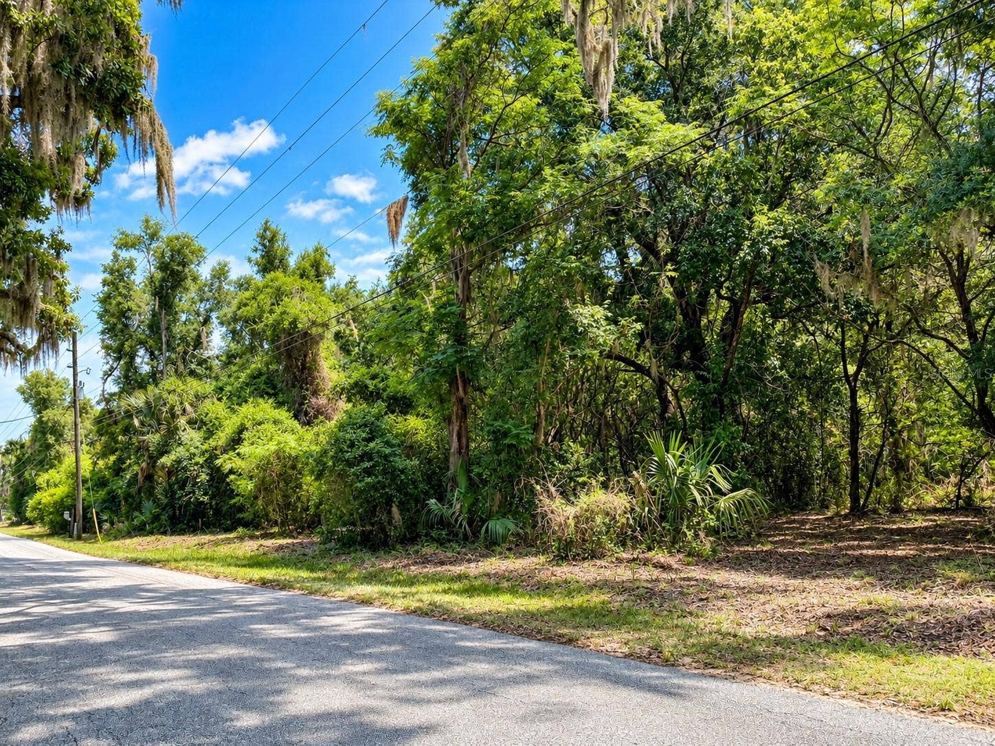 26714 BLOOMFIELD AVENUE, Yalaha, FL 34797 2.8 Acres