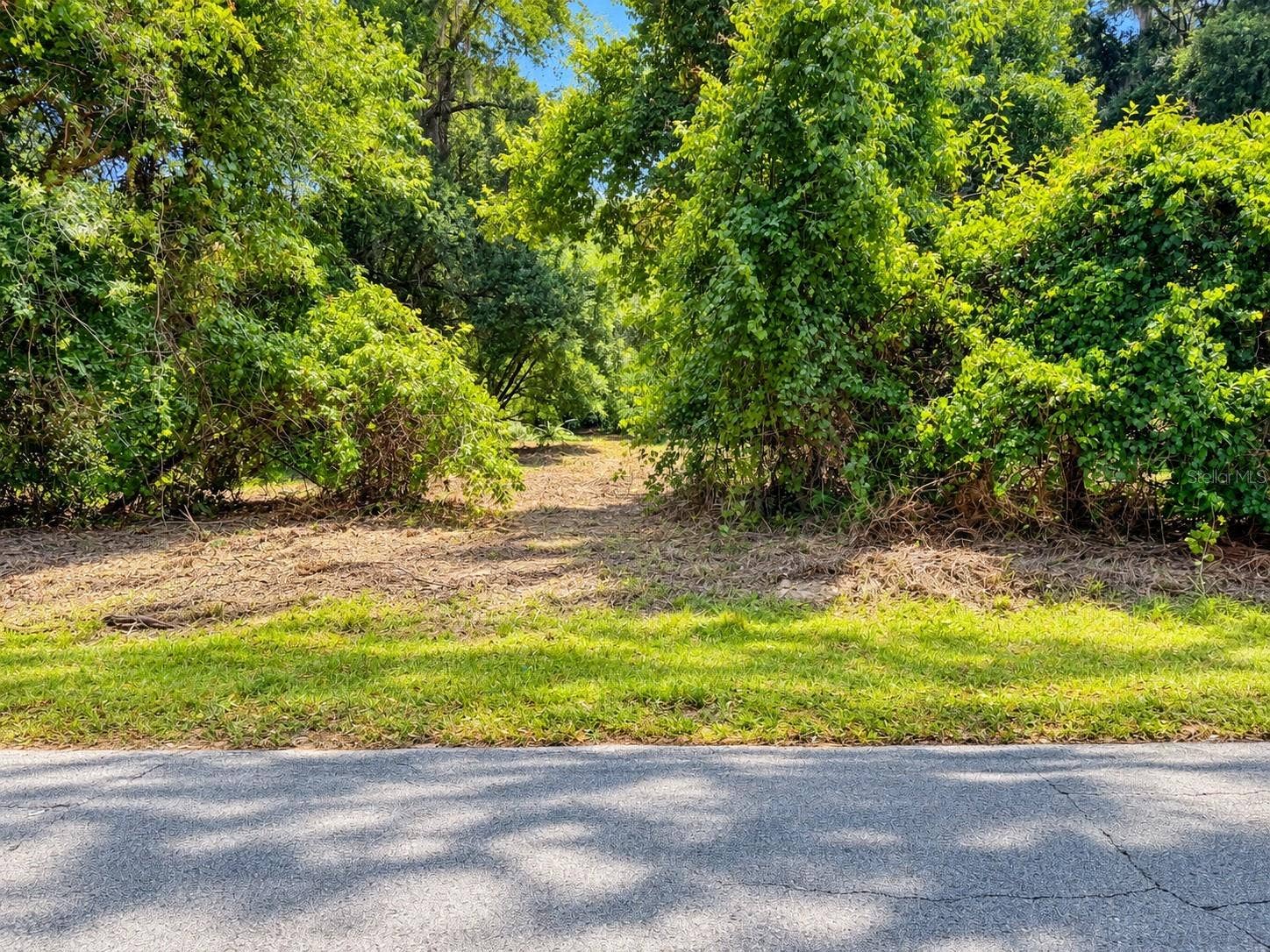 26714 BLOOMFIELD AVENUE, Yalaha, FL 34797 2.8 Acres