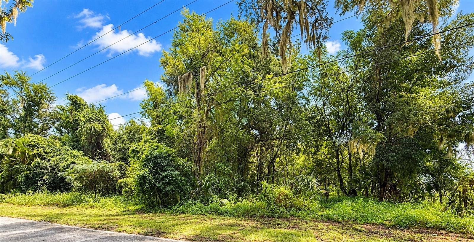 26714 BLOOMFIELD AVENUE, Yalaha, FL 34797 2.8 Acres