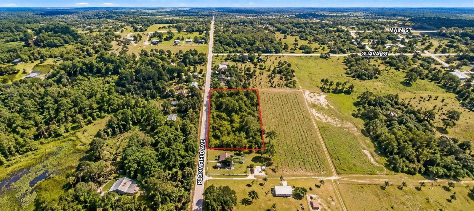 26714 BLOOMFIELD AVENUE, Yalaha, FL 34797 2.8 Acres