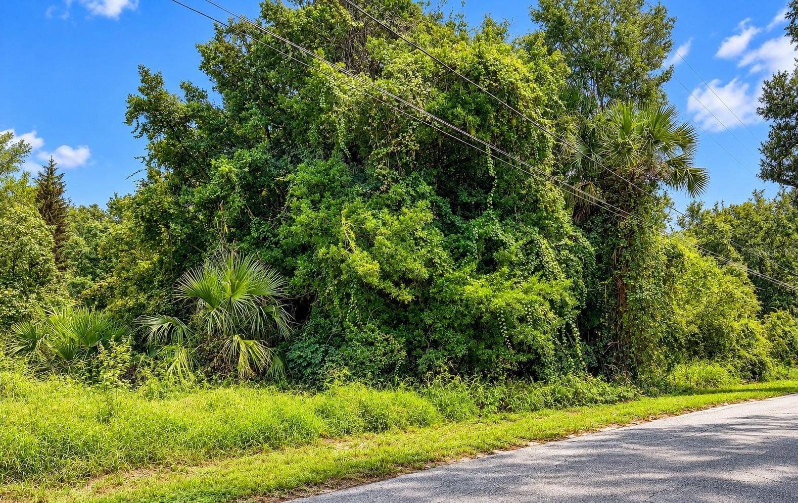 26714 BLOOMFIELD AVENUE, Yalaha, FL 34797 2.8 Acres