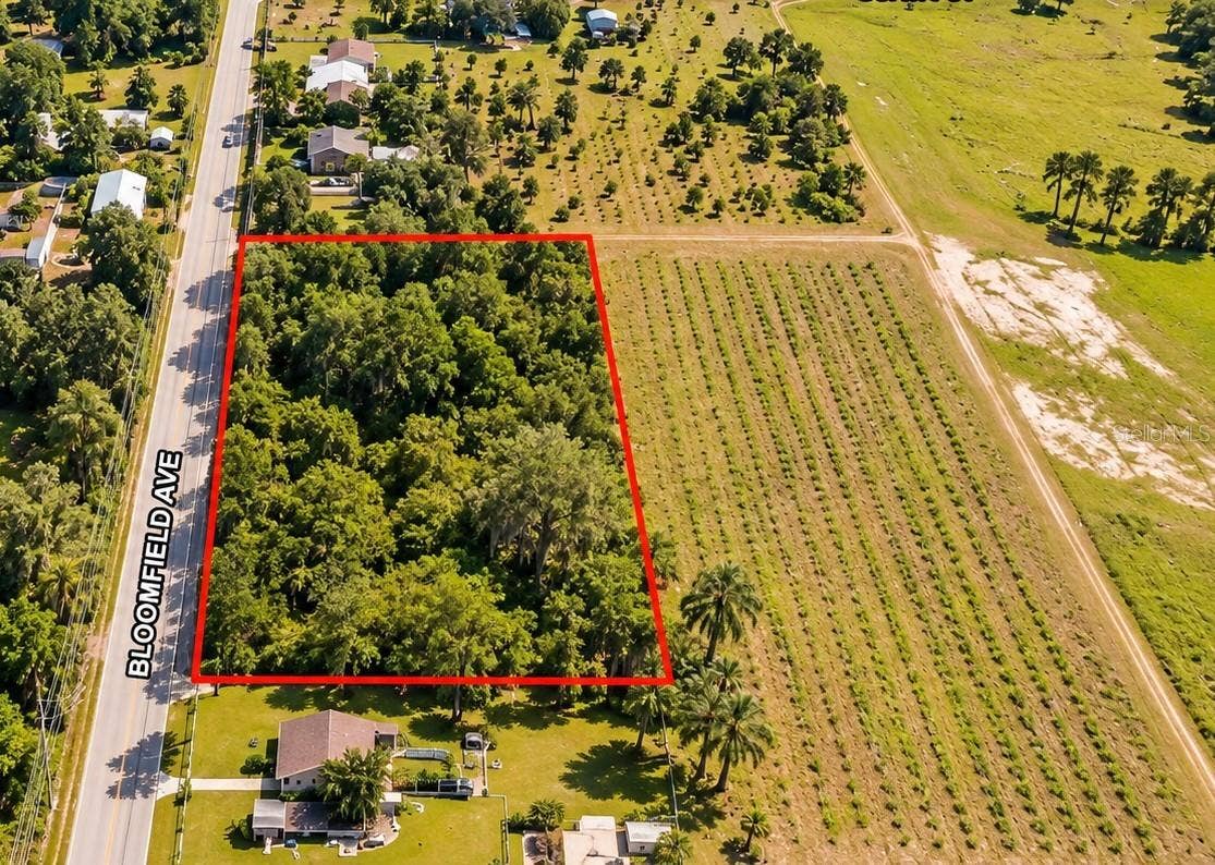 26714 BLOOMFIELD AVENUE, Yalaha, FL 34797 Areial View 2.8 Acres
