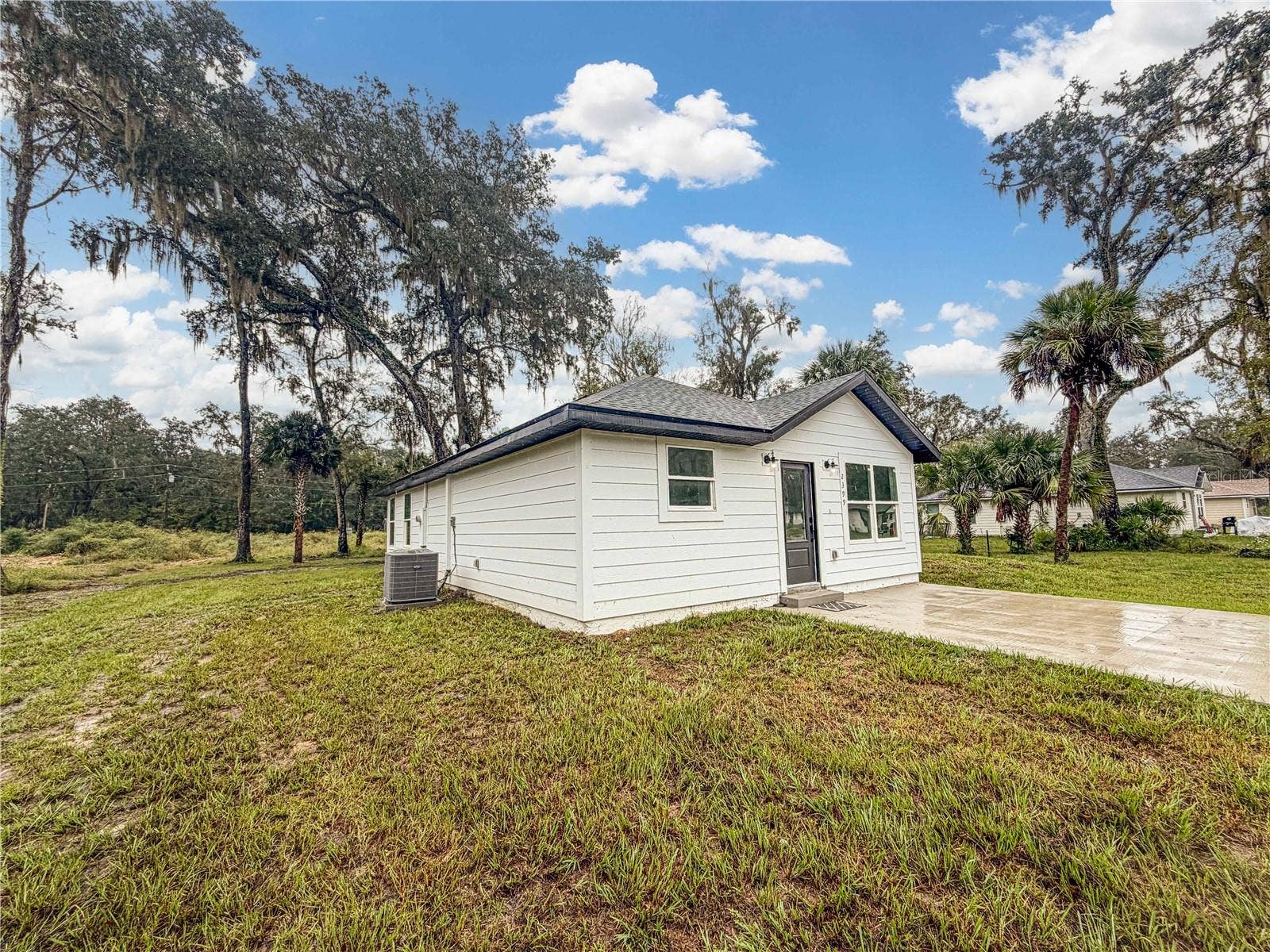 2399 CR 423, Lake Panasoffkee, FL 33538