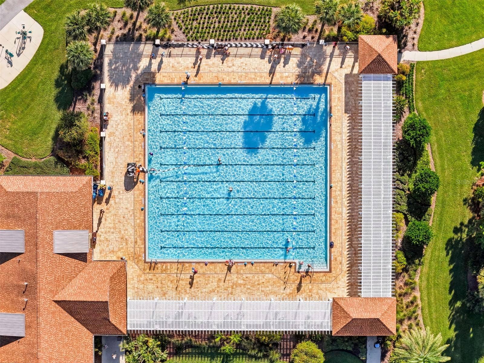 Everglades Sports Pool
