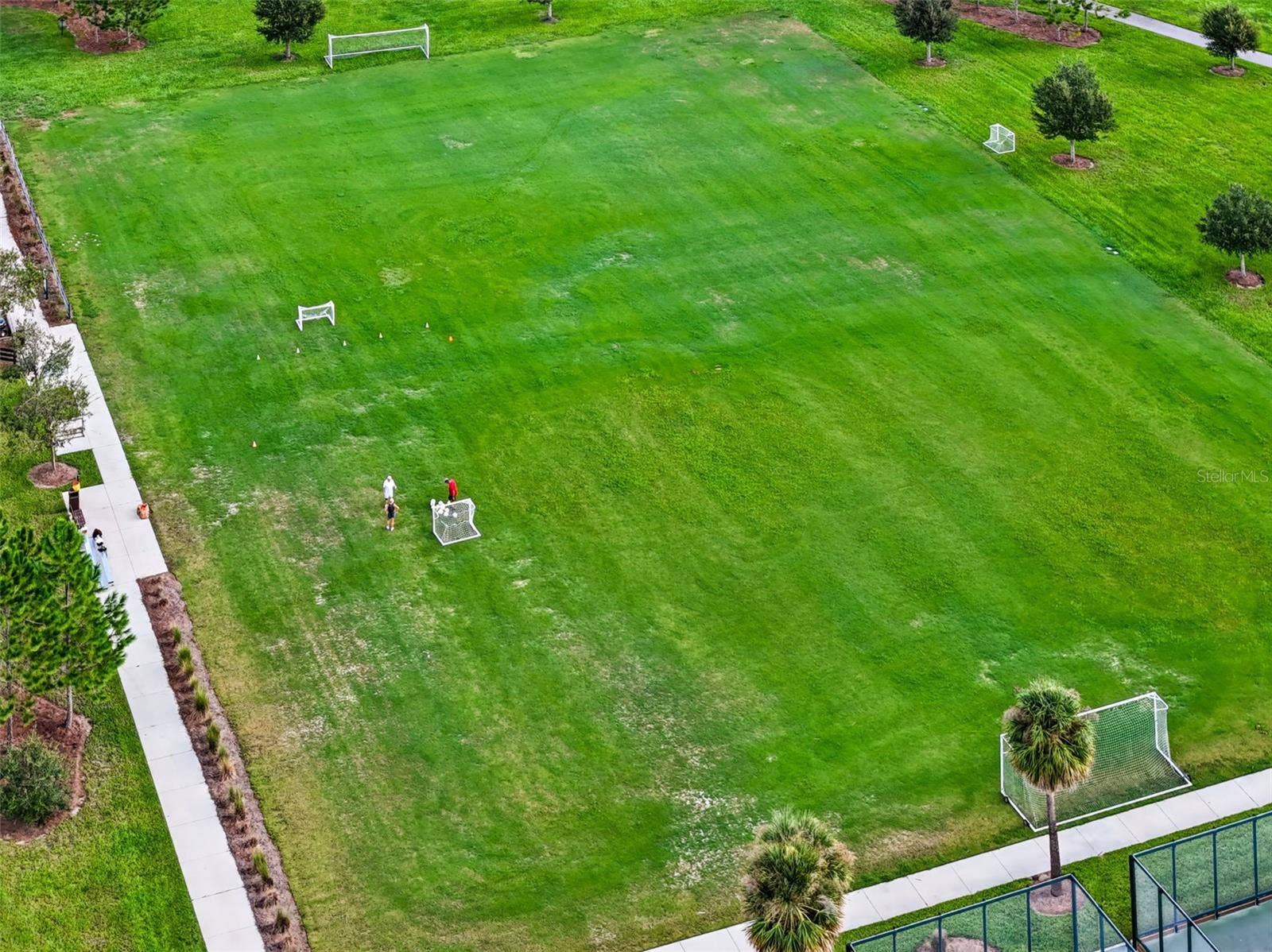 Soccer Field