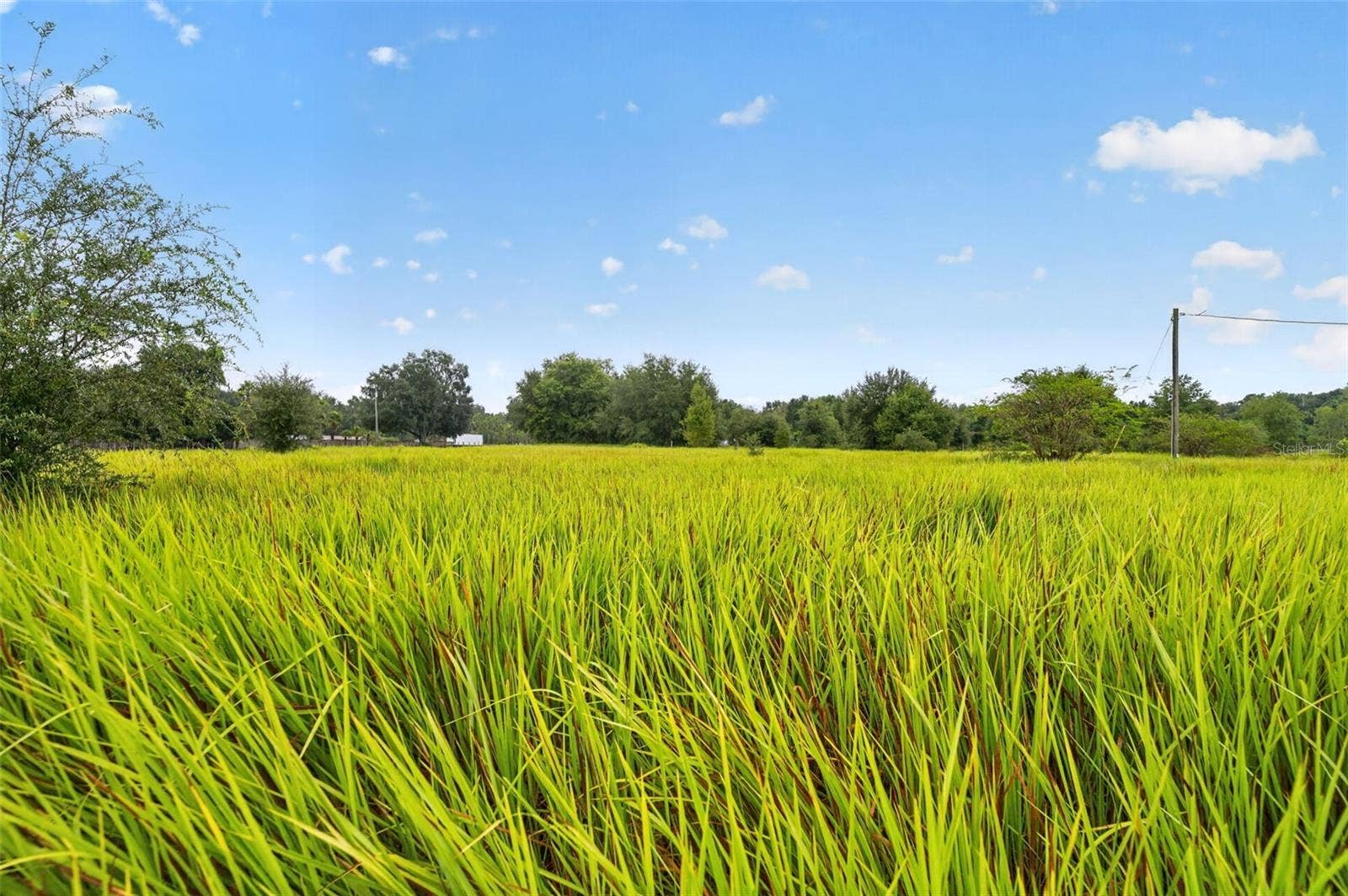 14851 SW 16TH AVENUE, Ocala, FL 34473 14851 SW 16TH AVENUE, Ocala, FL 34473