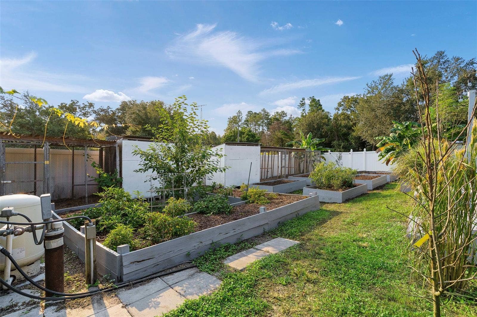 15987 SW 55TH AVENUE ROAD, Ocala, FL 34473 CONTINUE THE VISION & PLANT YOUR OWN!