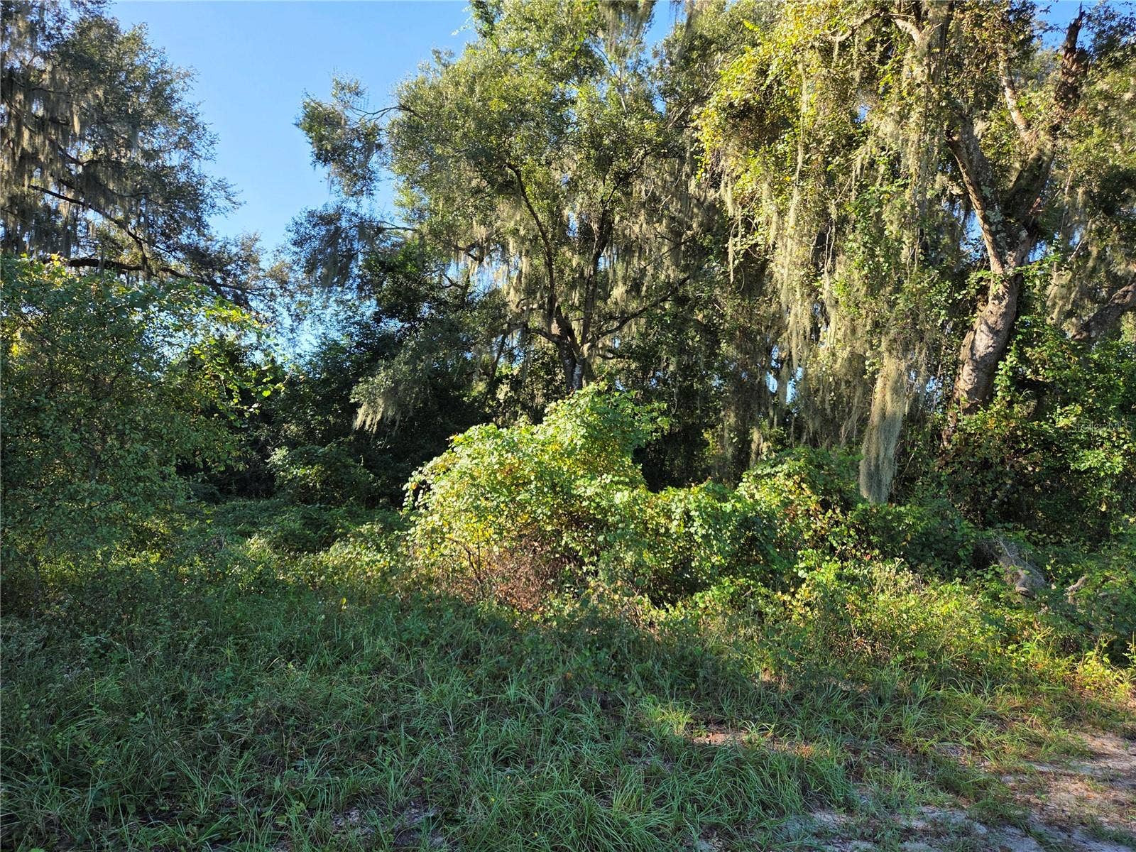 6605 SE 55TH AVENUE, Center Hill, FL 33514