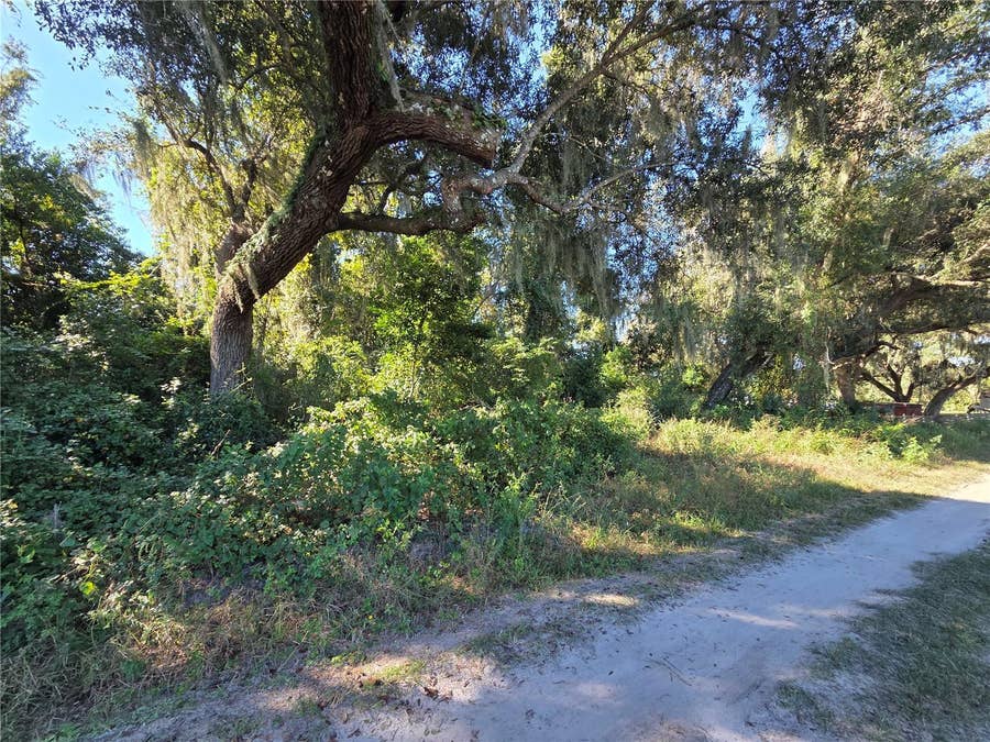 Property photo for 6605 SE 55TH AVENUE, Center Hill, FL