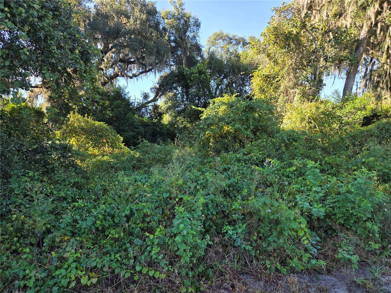 6605 SE 55TH AVENUE, Center Hill, FL 33514