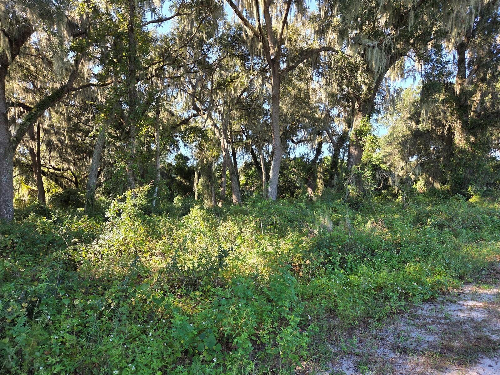 6605 SE 55TH AVENUE, Center Hill, FL 33514