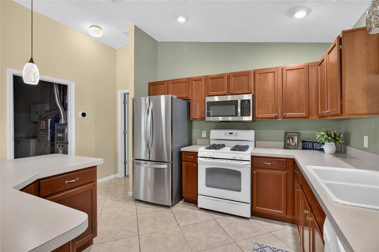 439 ENRIGHT PLACE, The Villages, FL 32162