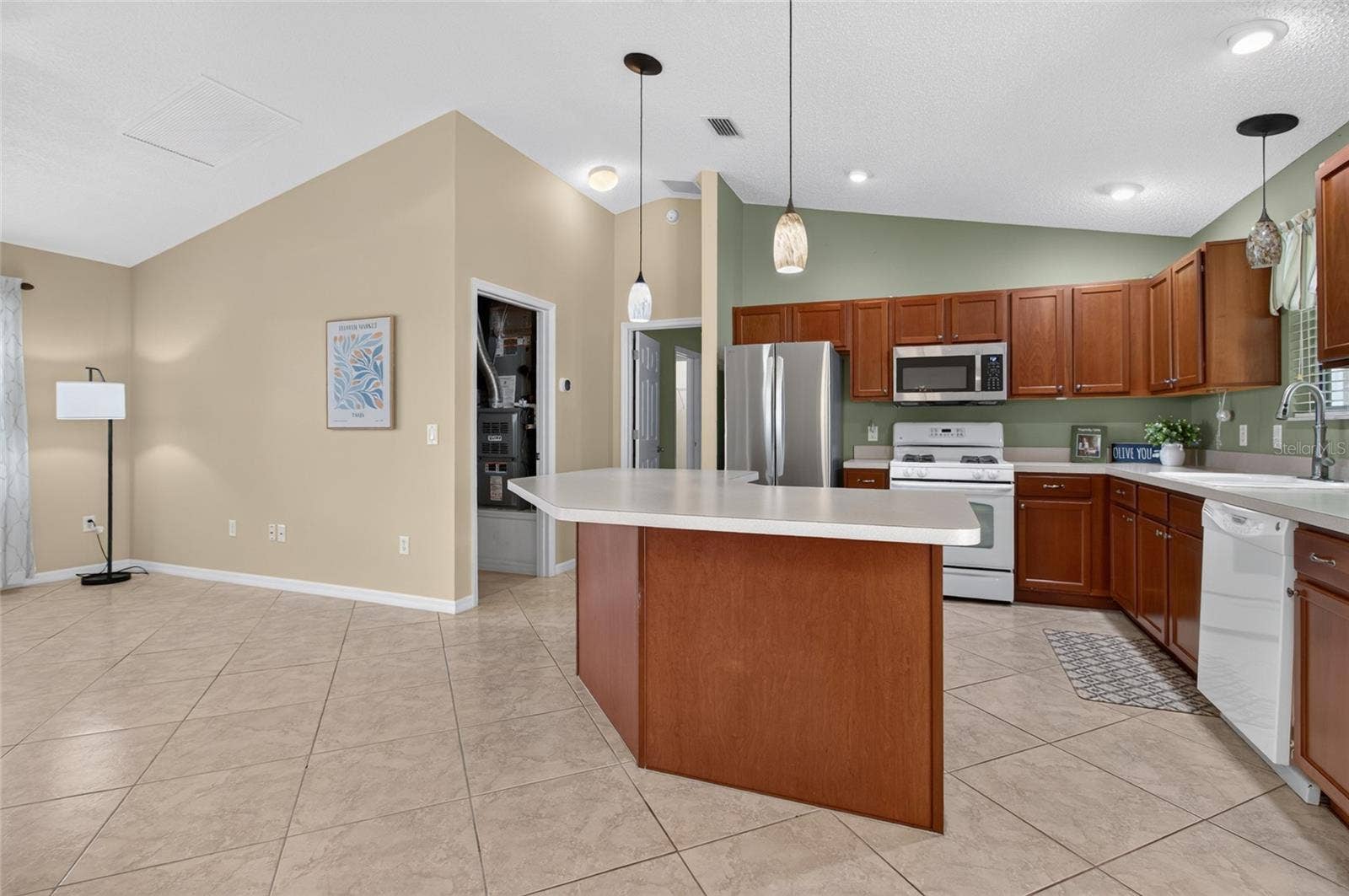 439 ENRIGHT PLACE, The Villages, FL 32162