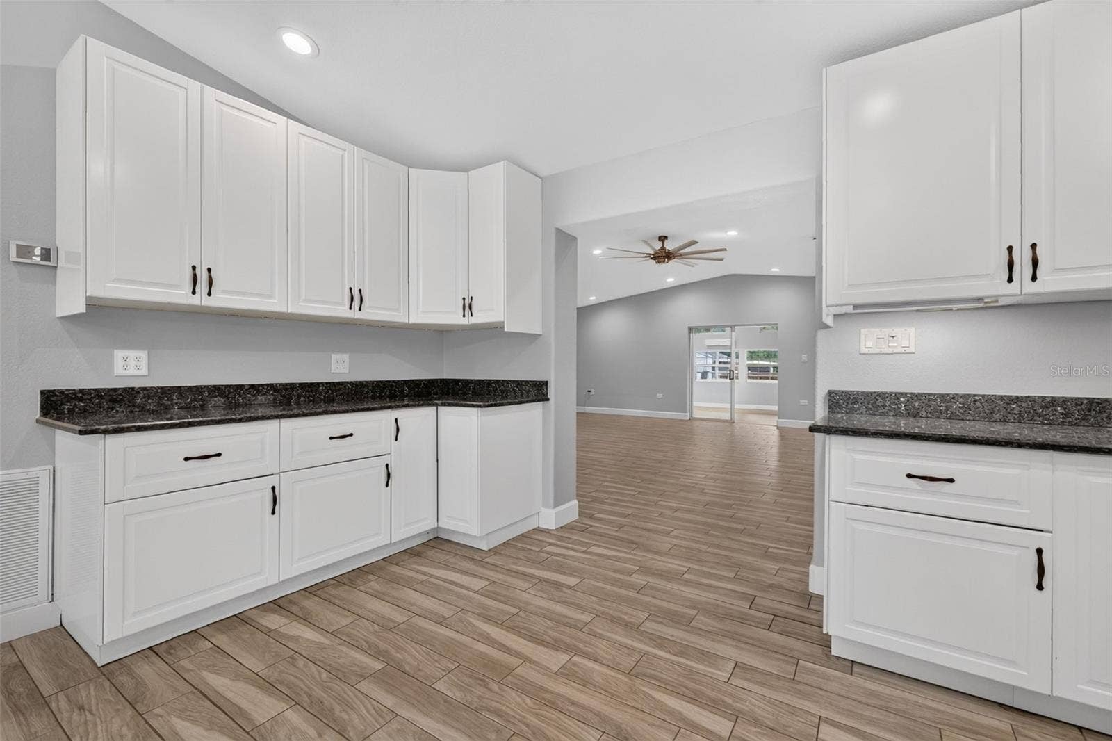22407 HORIZON VISTAS DRIVE, Eustis, FL 32736 22407 HORIZON VISTAS DRIVE, Eustis, FL 32736