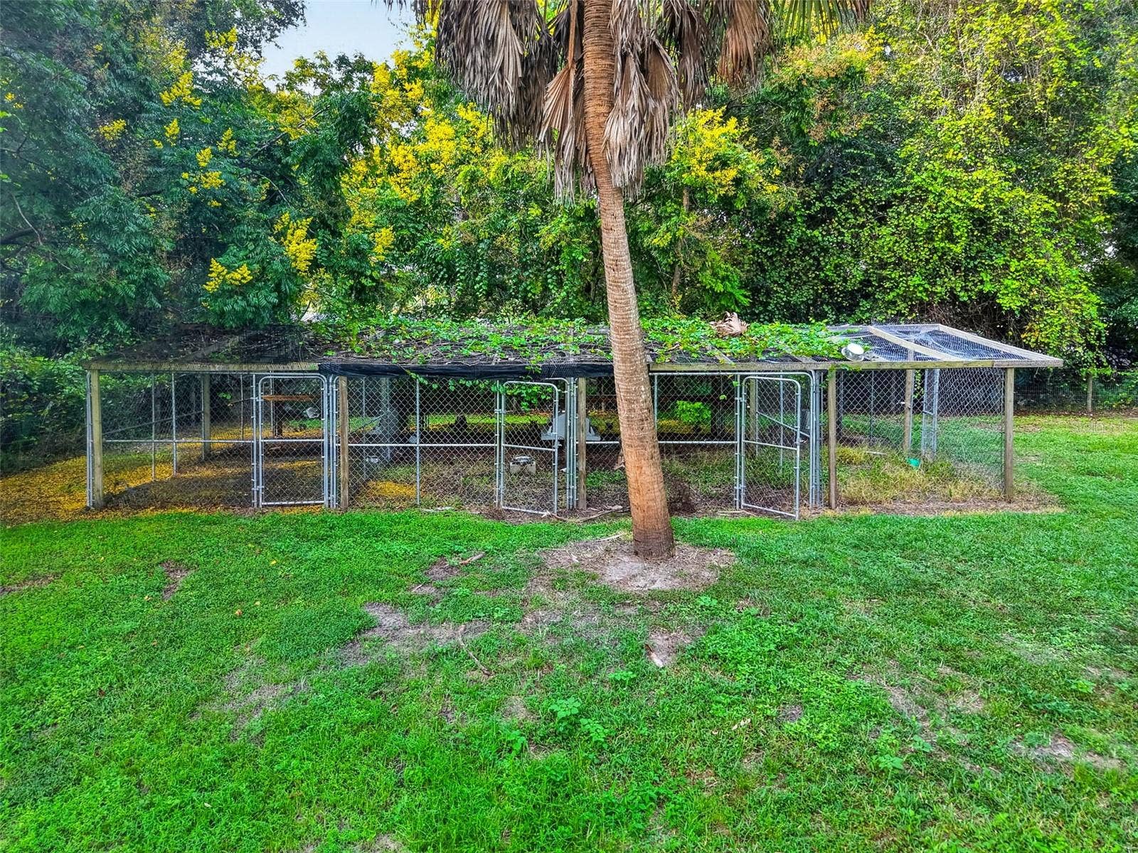 22407 HORIZON VISTAS DRIVE, Eustis, FL 32736 22407 HORIZON VISTAS DRIVE, Eustis, FL 32736