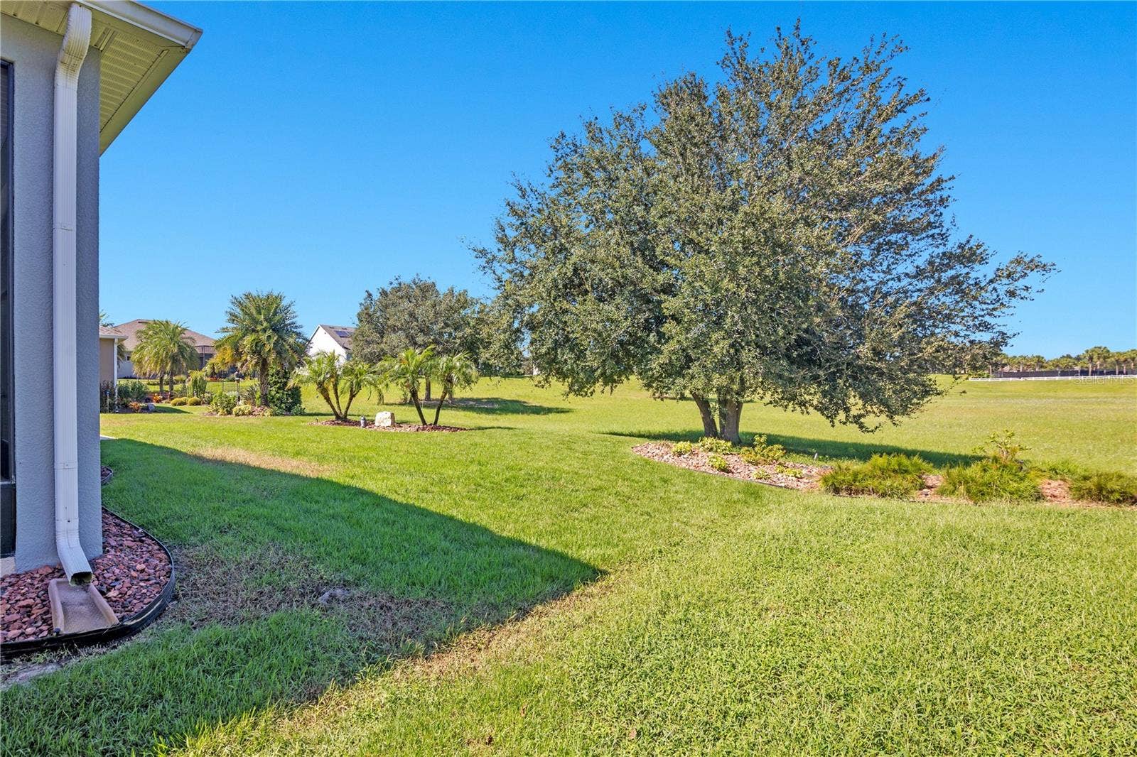 Back yard of Home