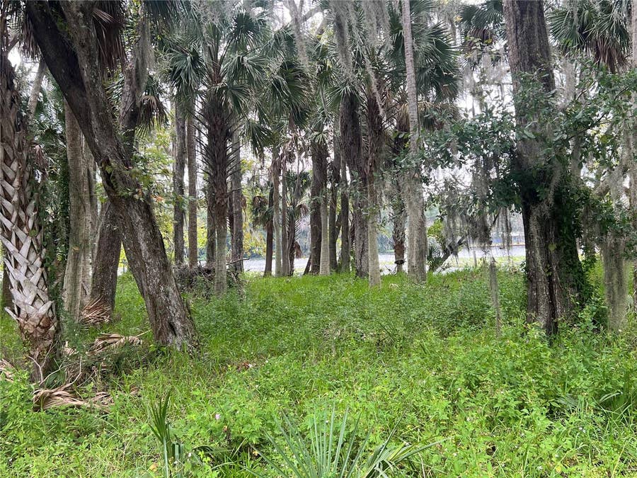 Property photo for HICKORY ROAD, Astor, FL