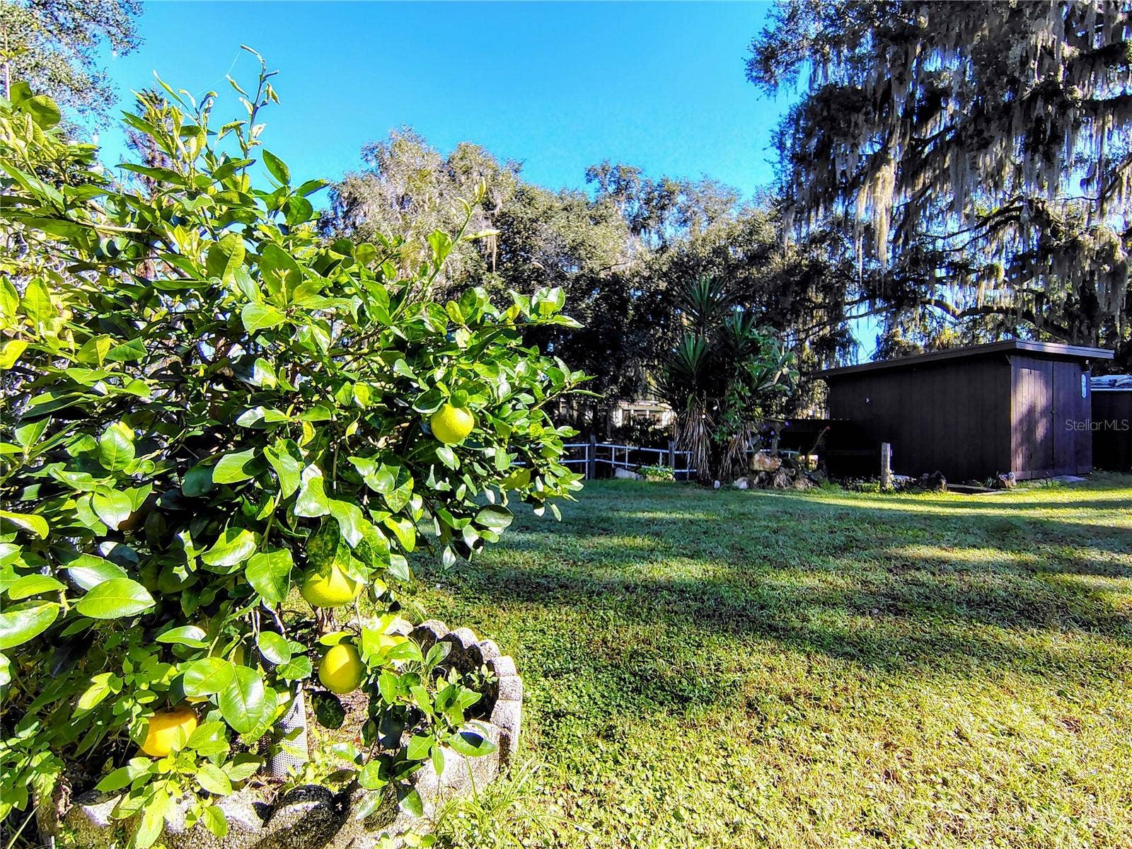 766 CR 485A, Lake Panasoffkee, FL 33538 766 CR 485A, Lake Panasoffkee, FL 33538