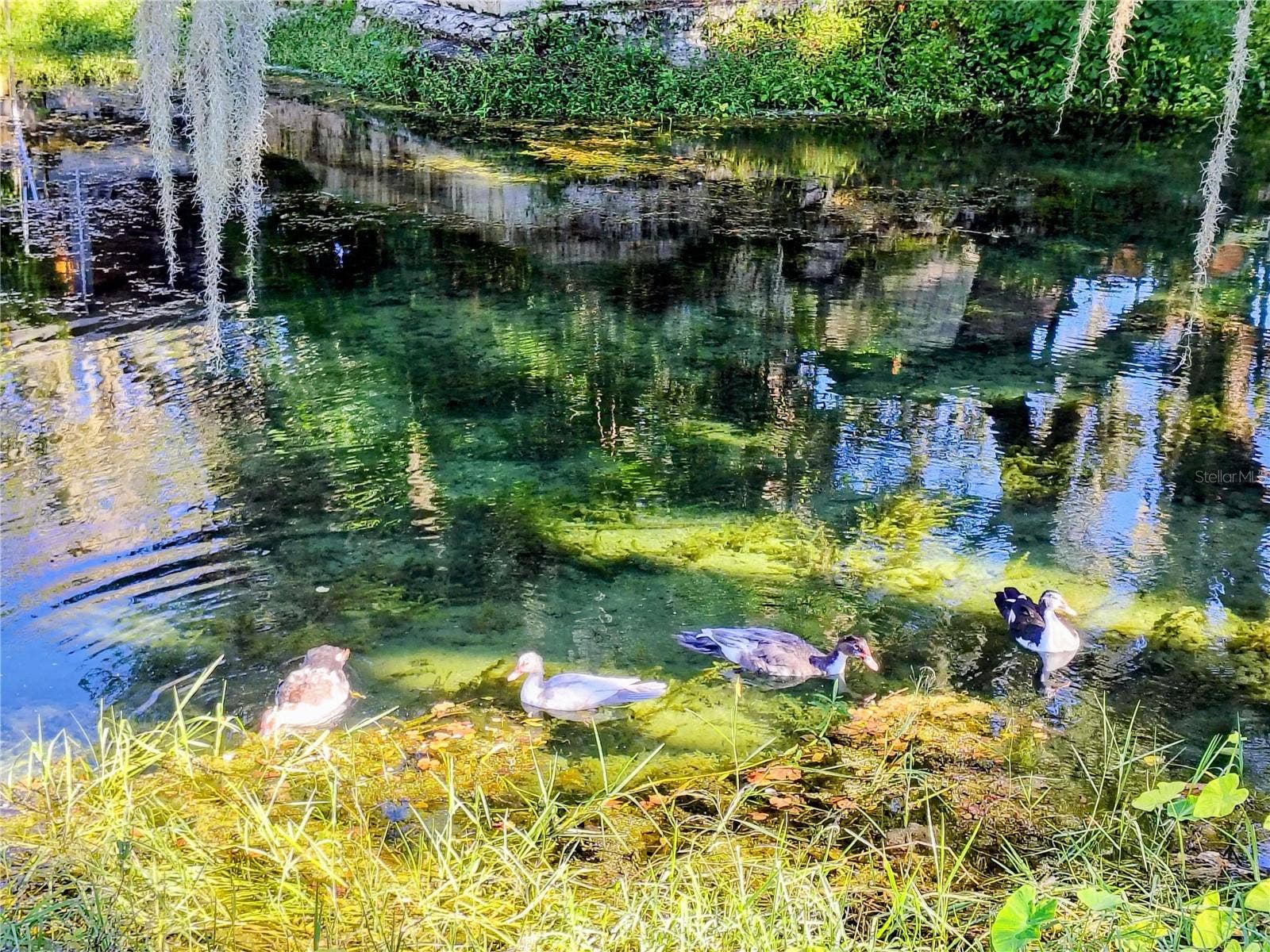 766 CR 485A, Lake Panasoffkee, FL 33538 766 CR 485A, Lake Panasoffkee, FL 33538