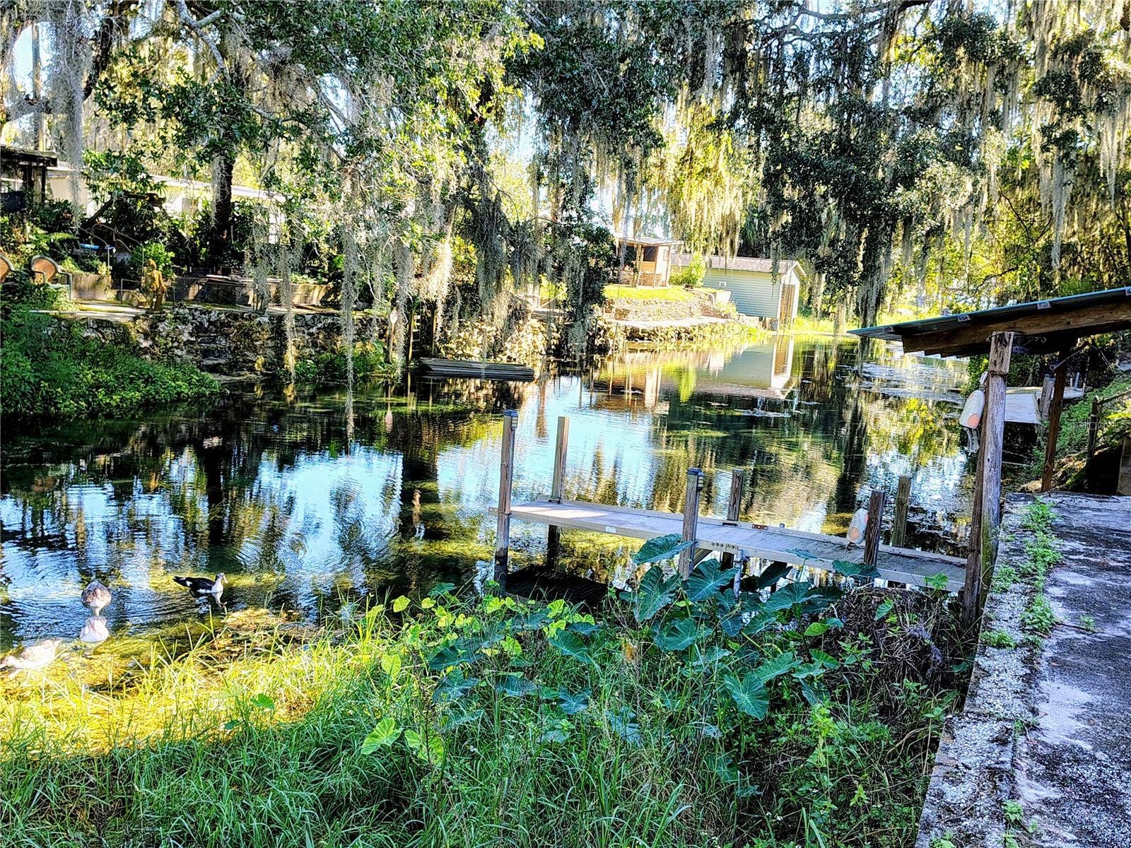 766 CR 485A, Lake Panasoffkee, FL 33538 766 CR 485A, Lake Panasoffkee, FL 33538