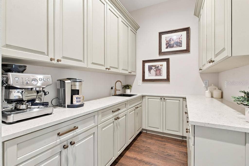 Custom Butlers Pantry with sink and lots of cabinets!