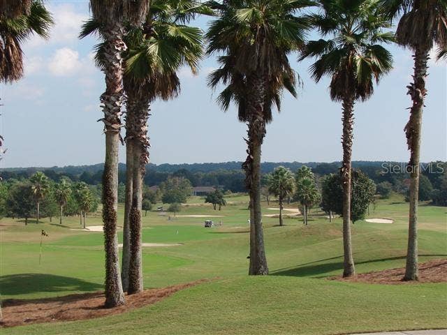 13136 SE 86TH CIRCLE, Summerfield, FL 34491 Golf Course