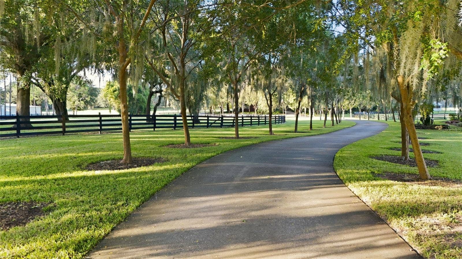 15211 VINOLA PLACE, Montverde, FL 34756 15211 VINOLA PLACE, Montverde, FL 34756