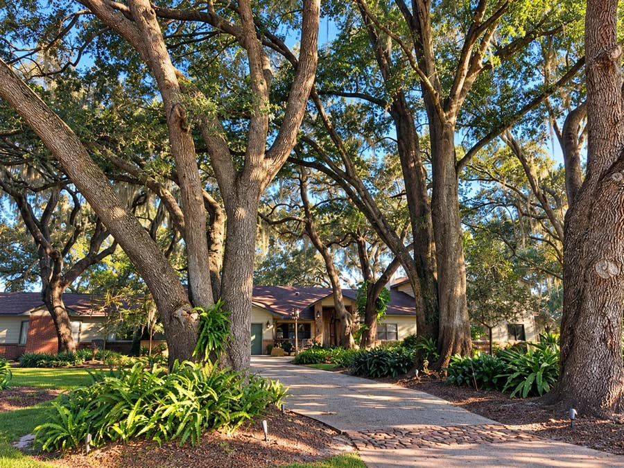 Property photo for 15211 VINOLA PLACE, Montverde, FL