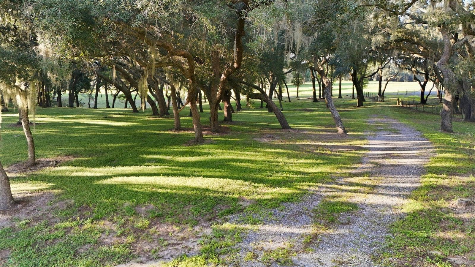15211 VINOLA PLACE, Montverde, FL 34756 Majestic oak filled property in rear