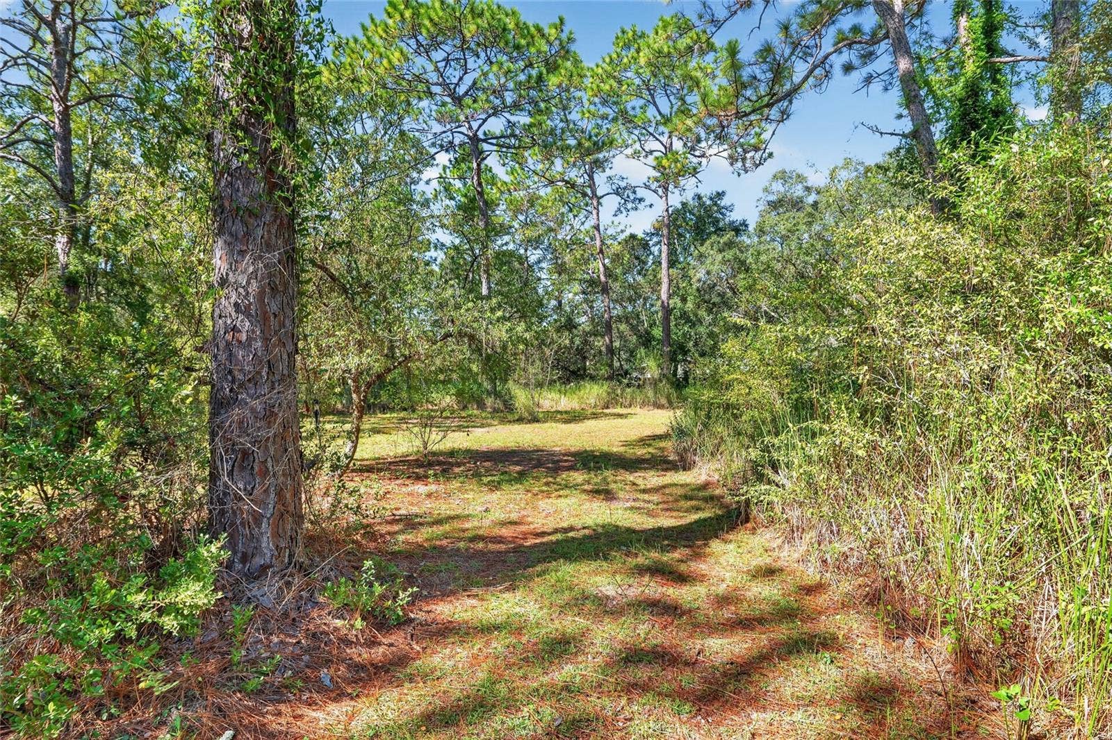 8680 N MEYER SQUARE, Dunnellon, FL 34433