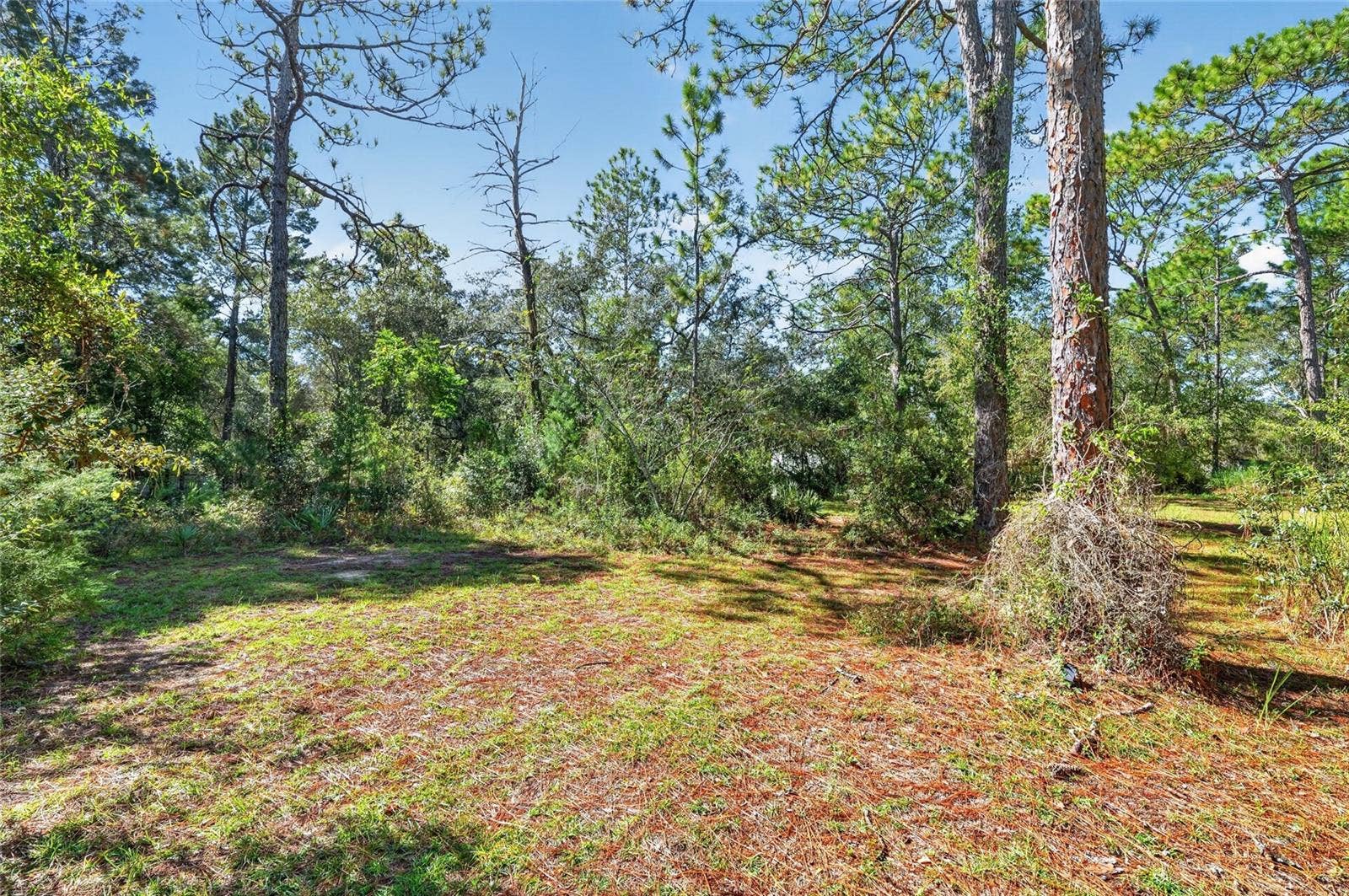 8680 N MEYER SQUARE, Dunnellon, FL 34433
