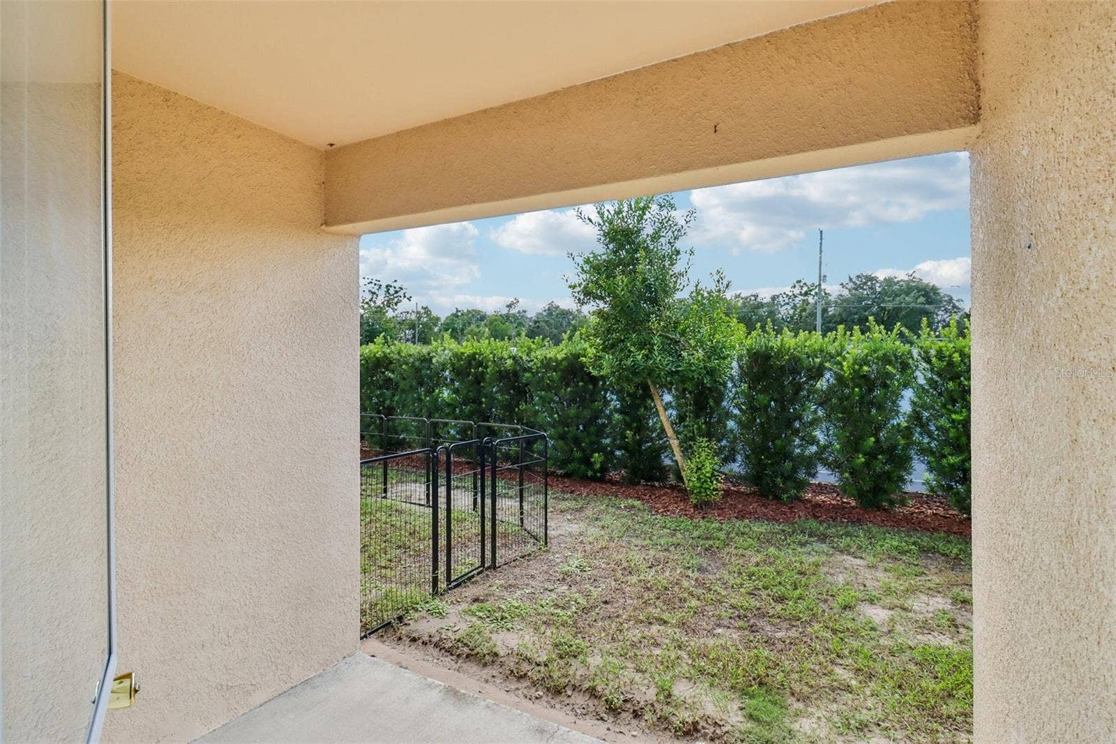 Backyard Porch