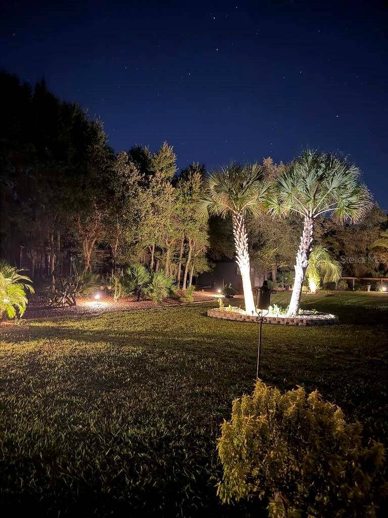 42626 ROYAL TRAILS ROAD, Eustis, FL 32736 Night Landscape