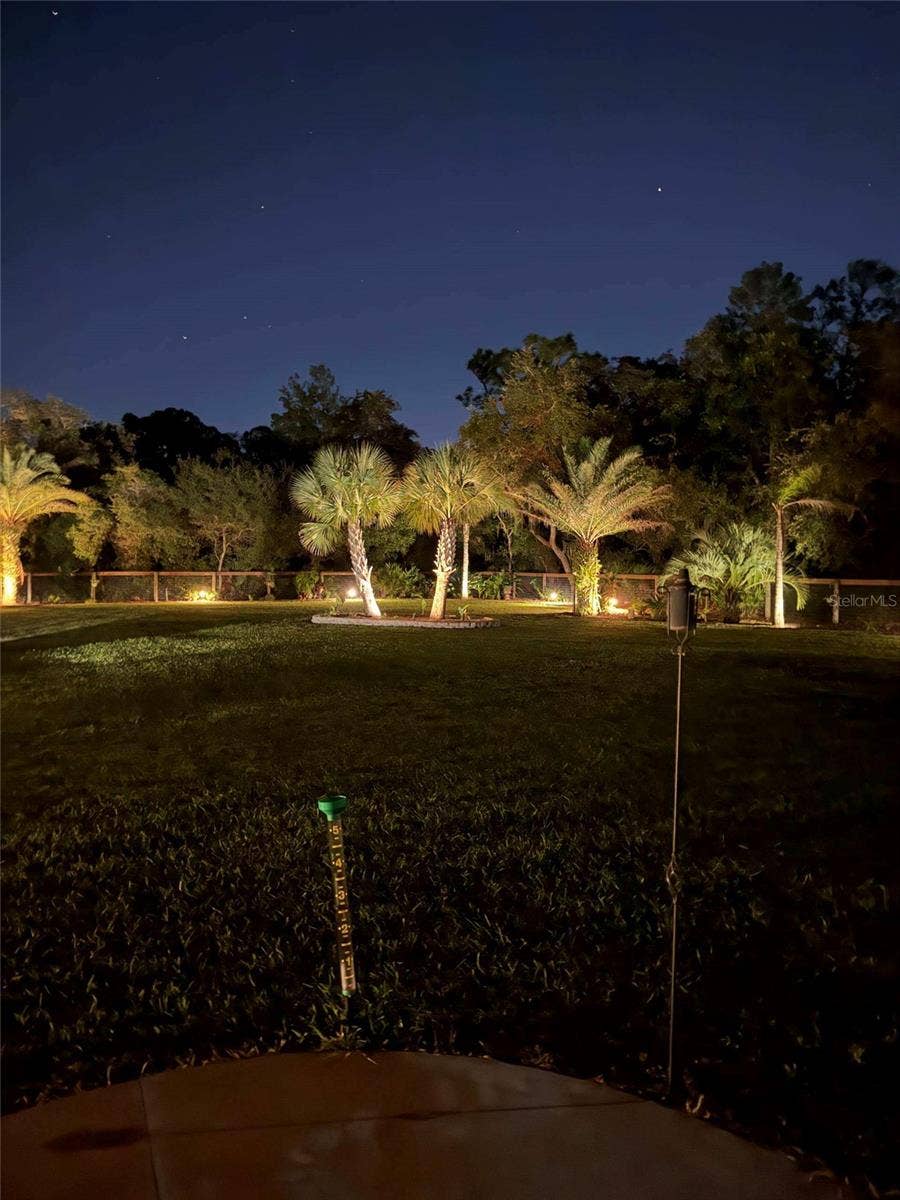 42626 ROYAL TRAILS ROAD, Eustis, FL 32736 Night Landscape
