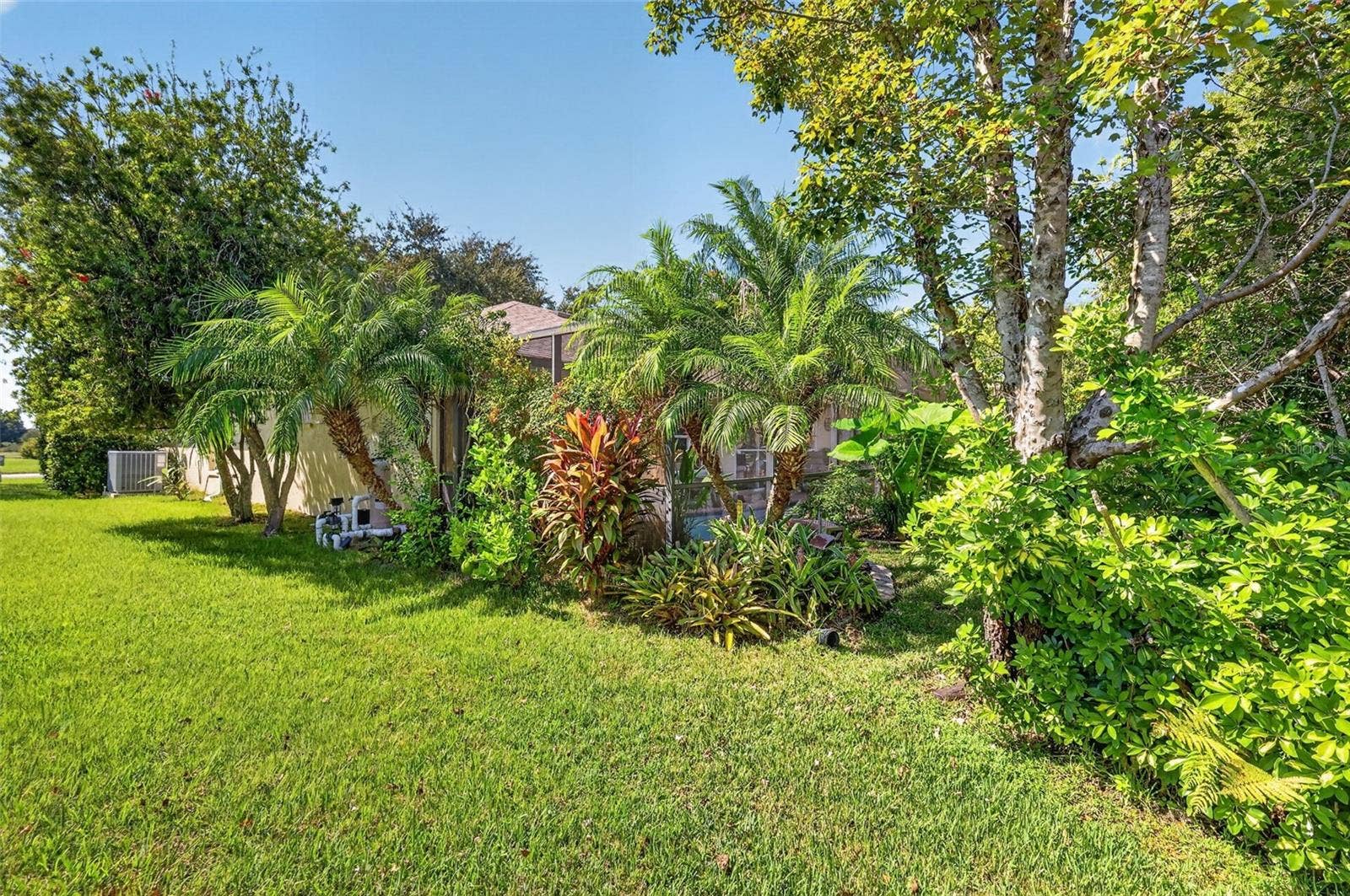 6121 HUNTERS RIDGE AVENUE, Leesburg, FL 34748 Side Elevation with Tropical PRIVACY Landscaping!